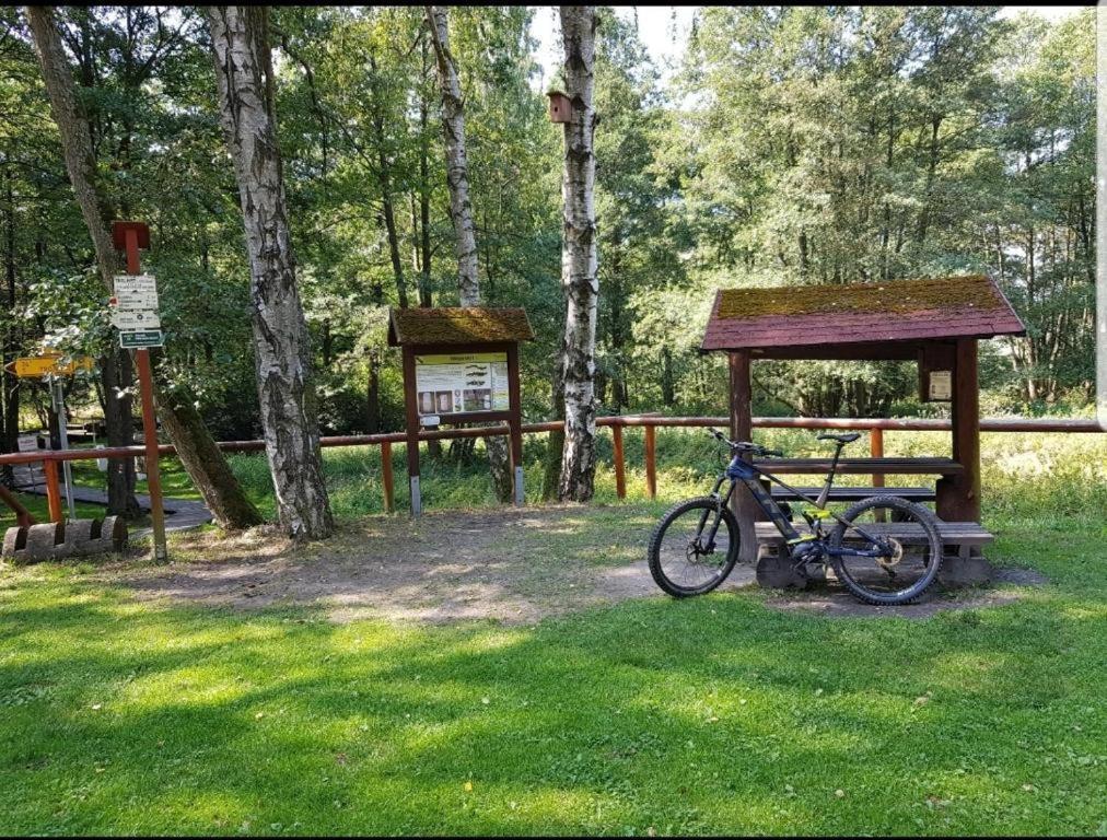 Landgasthof Gruener Baum Regnitzlosau Eksteriør bilde