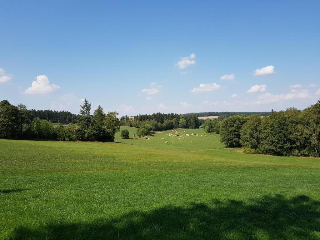 Landgasthof Gruener Baum Regnitzlosau Eksteriør bilde